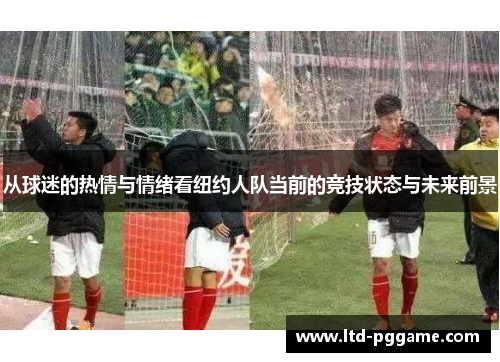 从球迷的热情与情绪看纽约人队当前的竞技状态与未来前景