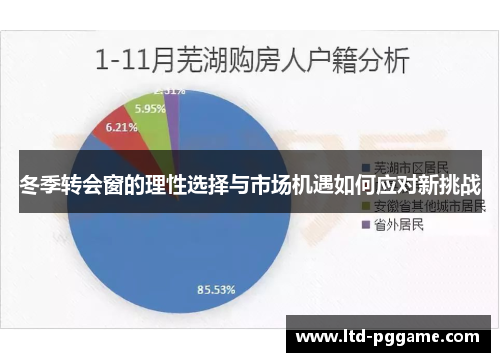 冬季转会窗的理性选择与市场机遇如何应对新挑战