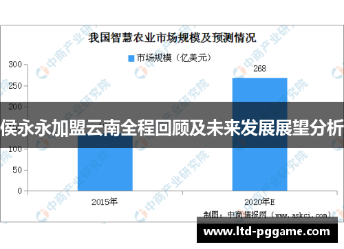 侯永永加盟云南全程回顾及未来发展展望分析