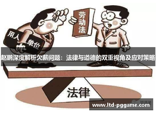 赵鹏深度解析欠薪问题：法律与道德的双重视角及应对策略